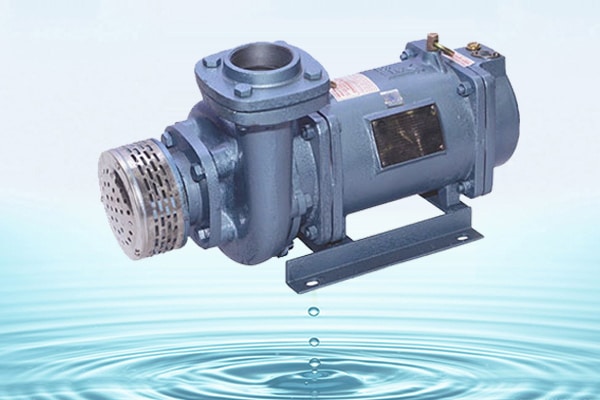 IS: 9283 Motor for Submersible Pump Sets